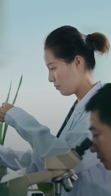 技術(shù)環(huán)節(jié)