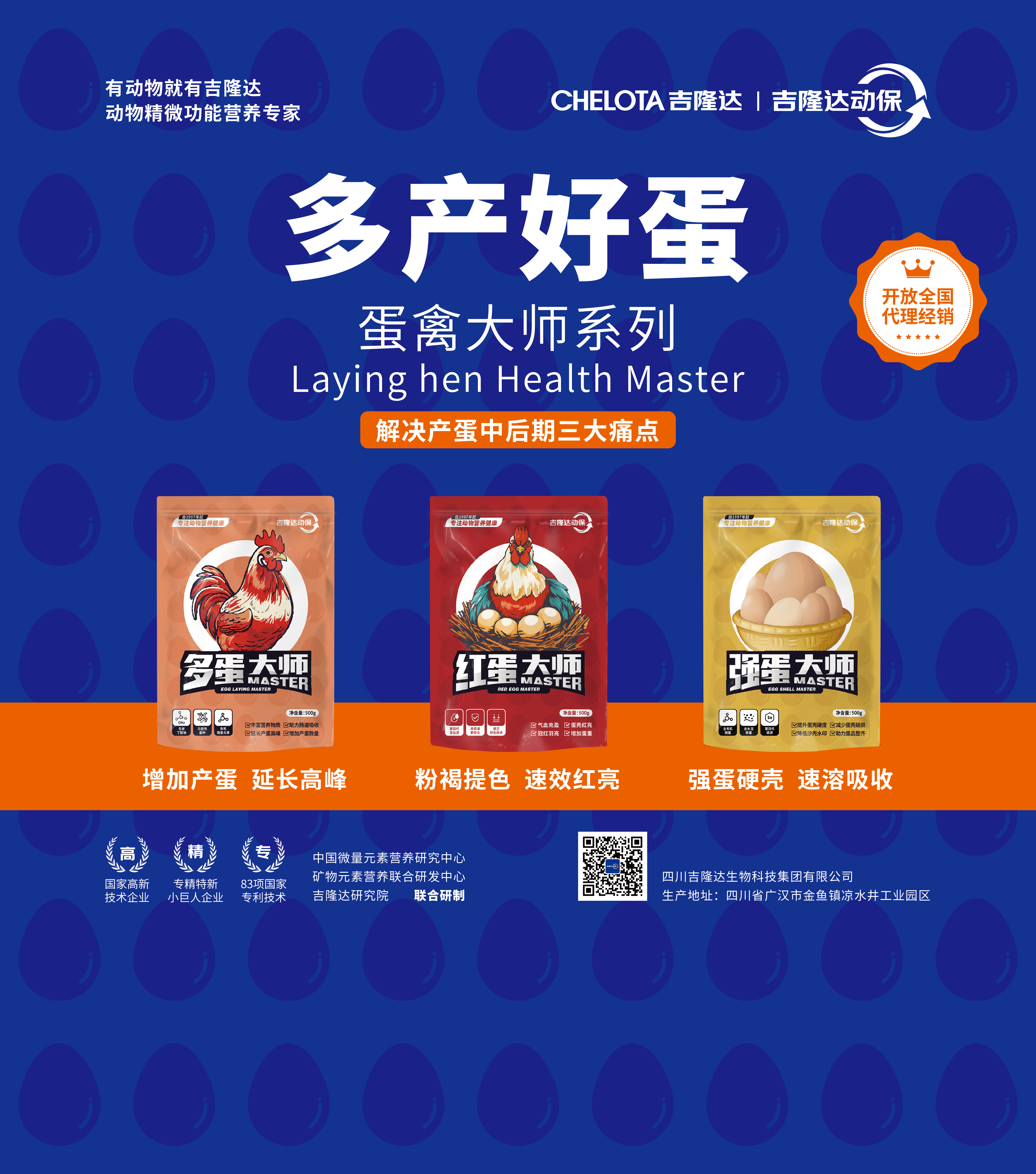 蛋禽大師