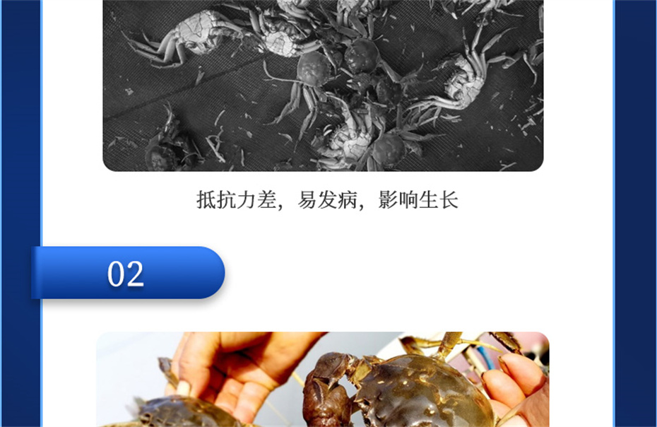 吉隆達動(dòng)保水產(chǎn)飼料添加劑速補微+產(chǎn)品介紹