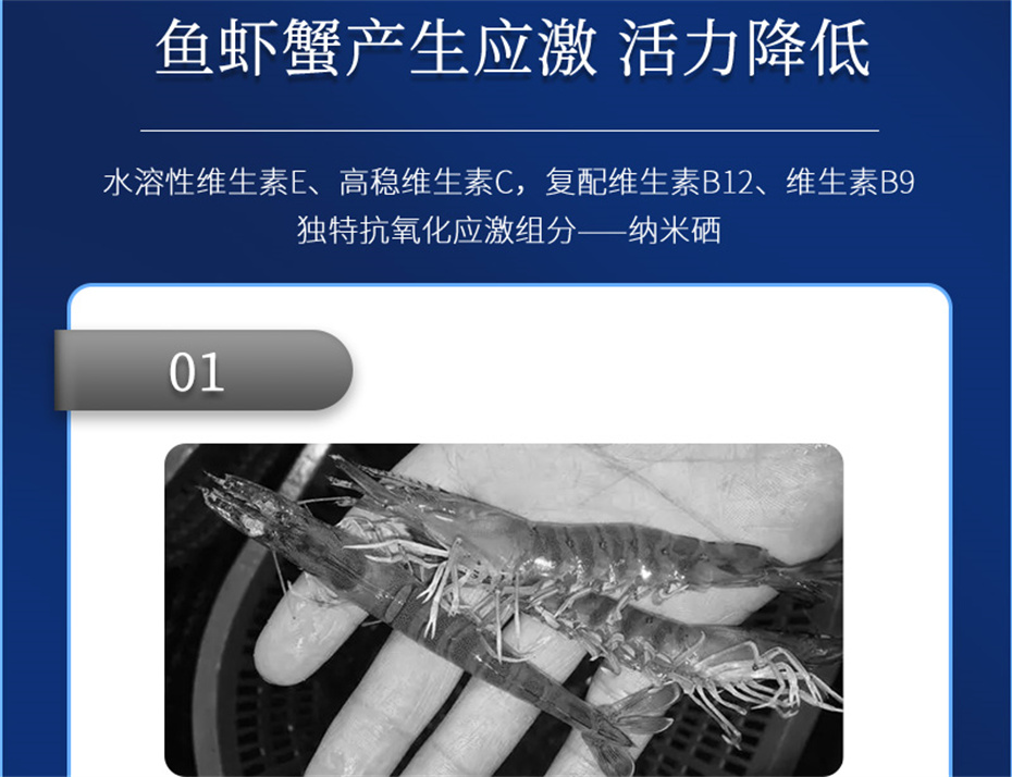吉隆達動(dòng)保水產(chǎn)飼料添加劑抗激1號產(chǎn)品介紹