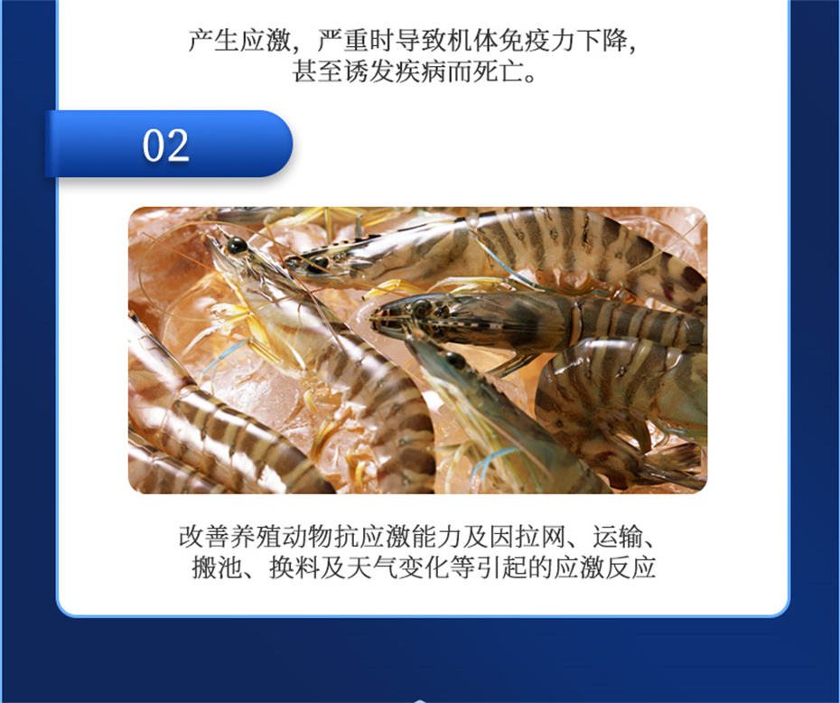 吉隆達動(dòng)保水產(chǎn)飼料添加劑抗激1號產(chǎn)品介紹