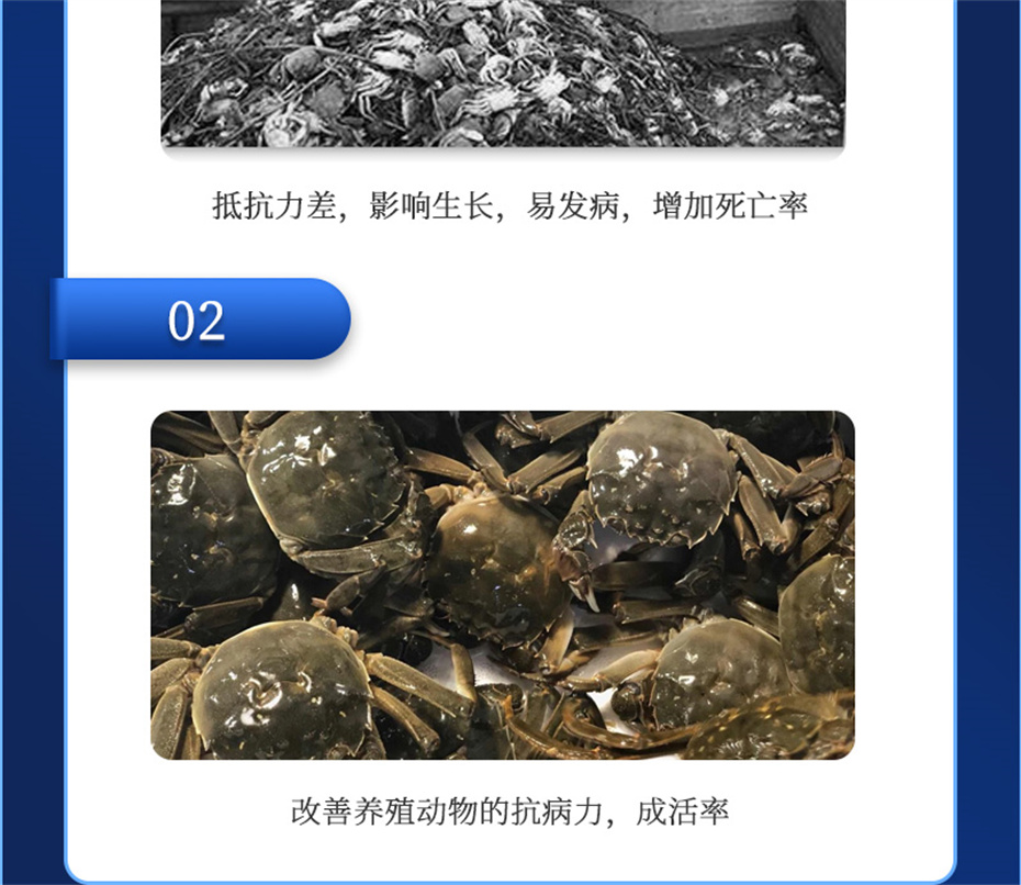 吉隆達動(dòng)保水產(chǎn)飼料添加劑抗激1號產(chǎn)品介紹