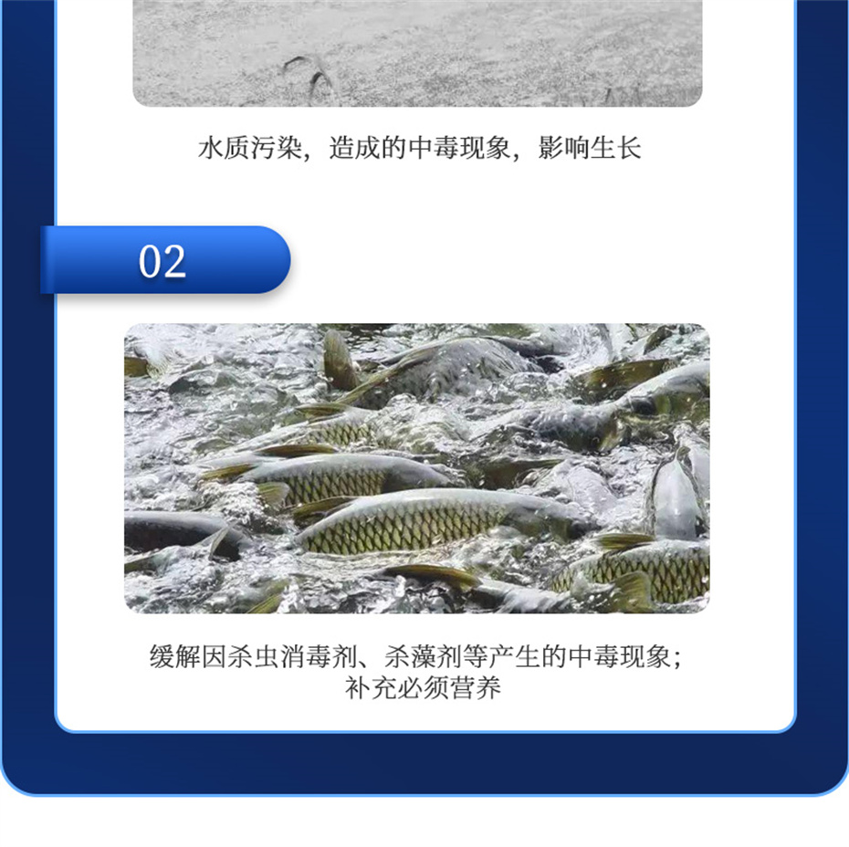 吉隆達動(dòng)保水產(chǎn)飼料添加劑抗激1號產(chǎn)品介紹