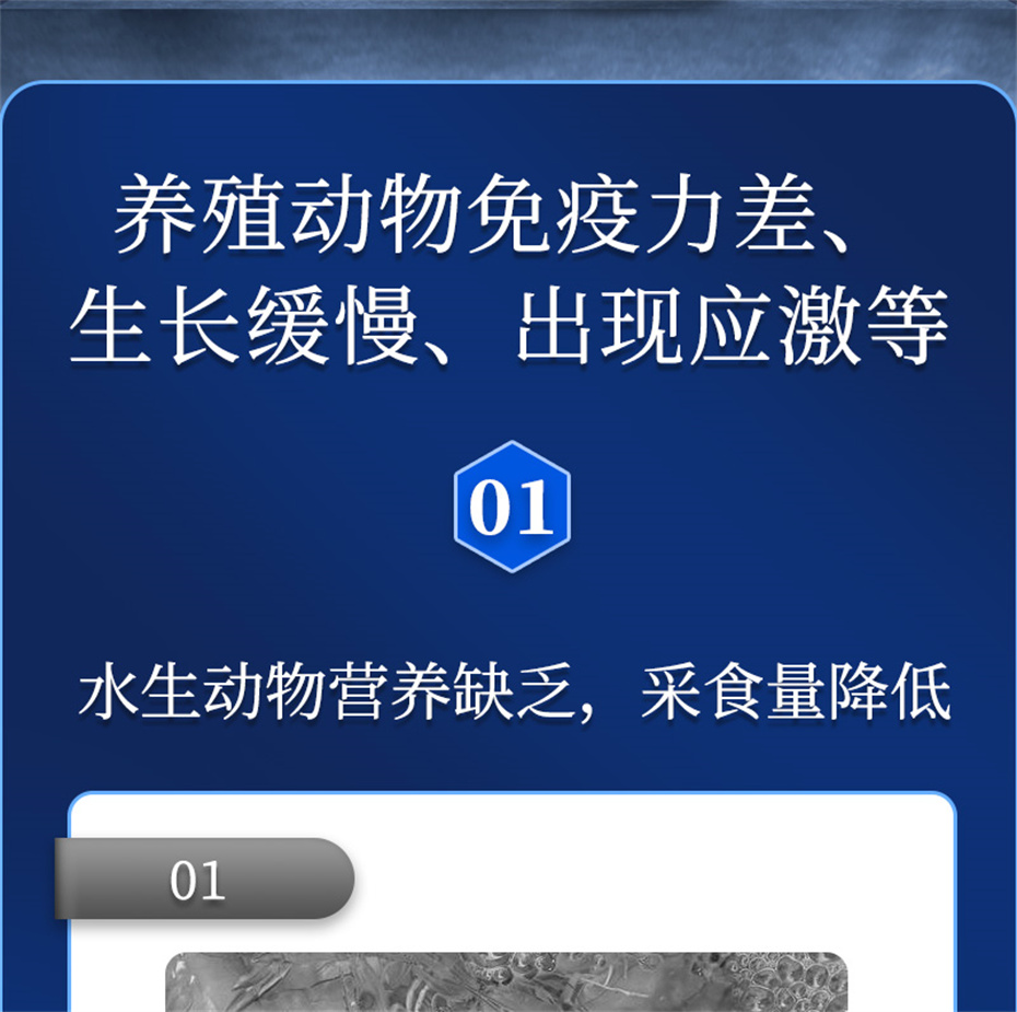 吉隆達動(dòng)保水產(chǎn)飼料添加劑維他1號產(chǎn)品介紹