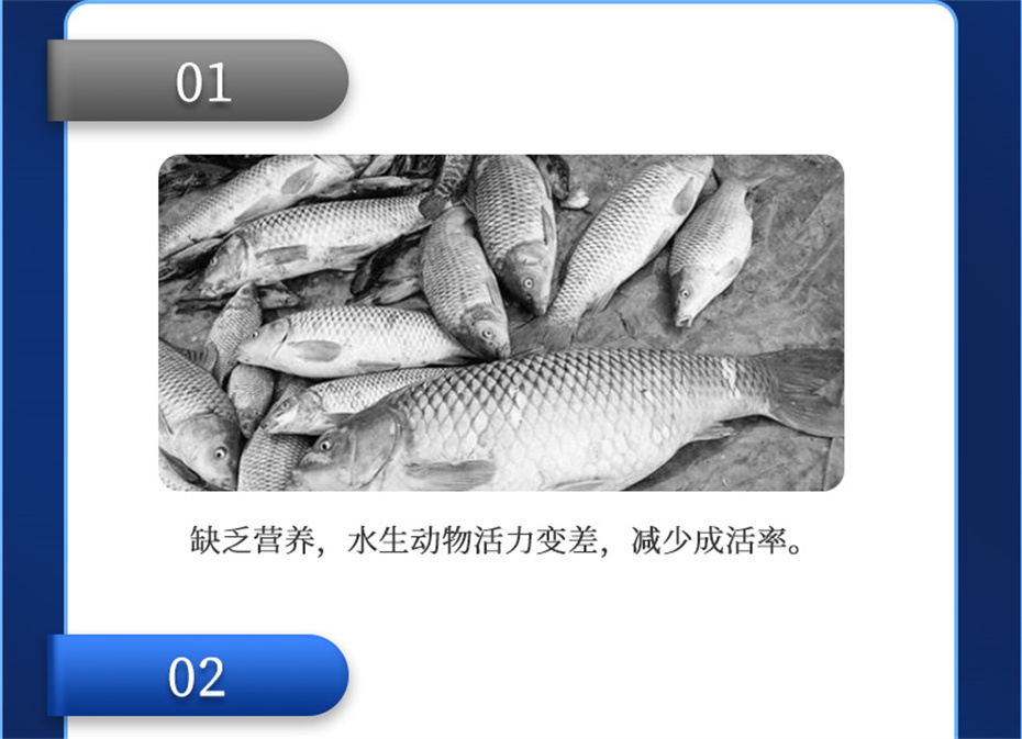 吉隆達動(dòng)保水產(chǎn)飼料添加劑維他1號產(chǎn)品介紹