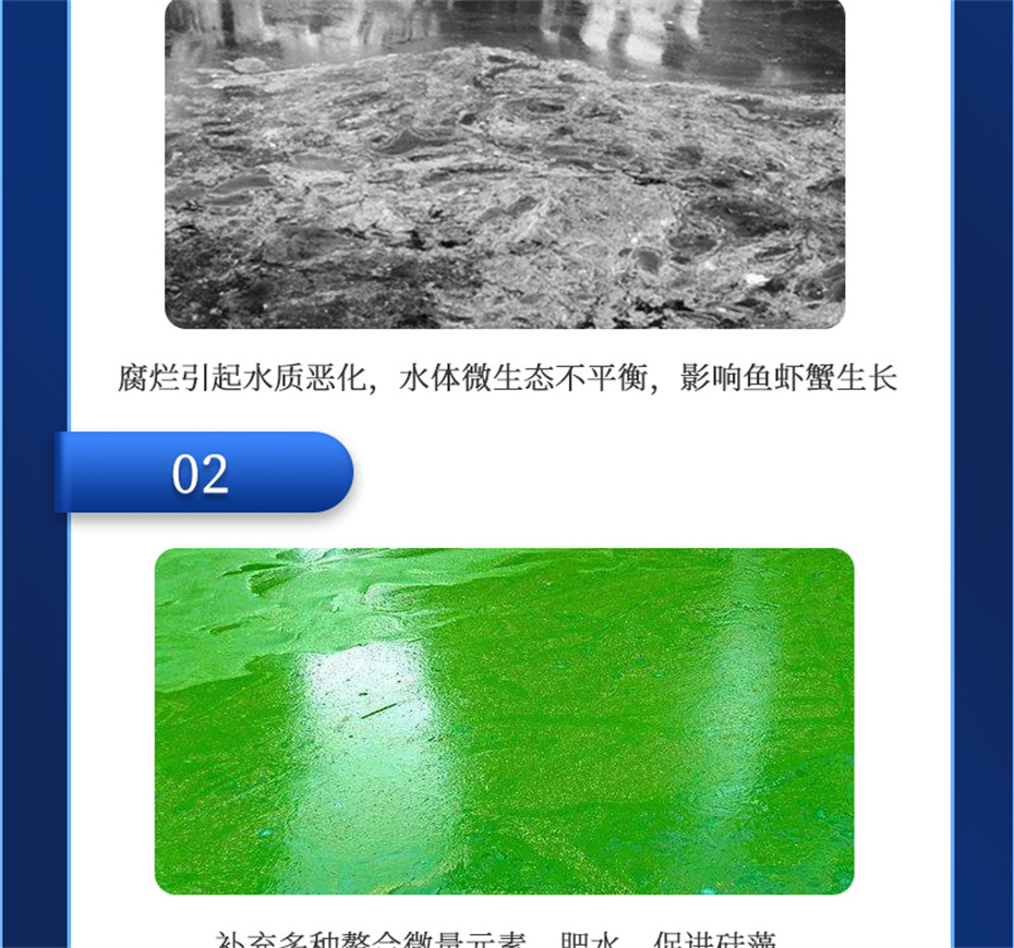 吉隆達動(dòng)保水產(chǎn)飼料添加劑水藻1號產(chǎn)品介紹