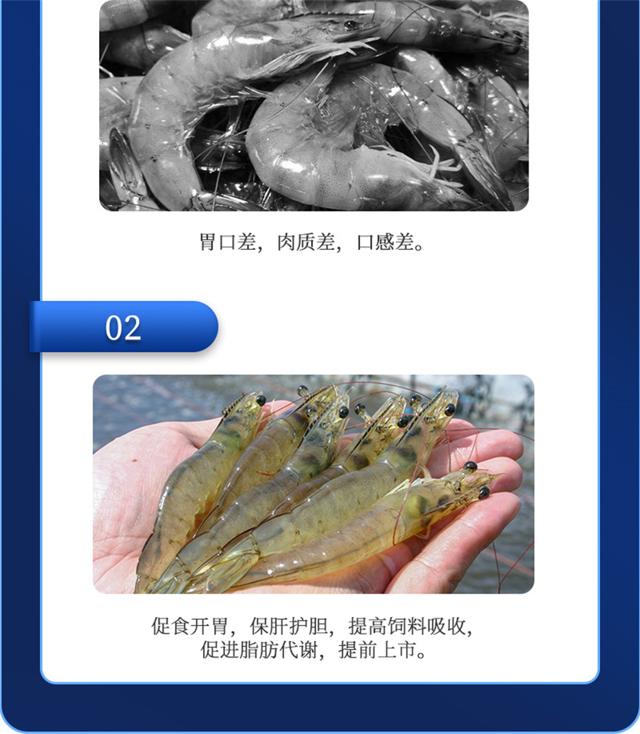 吉隆達動(dòng)保水產(chǎn)飼料添加劑肝膽寶水產(chǎn)產(chǎn)品介紹