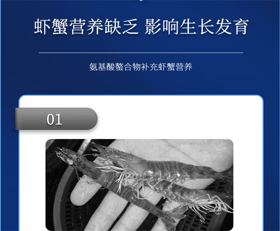 吉隆達動(dòng)保水產(chǎn)飼料添加劑蝦康寶產(chǎn)品介紹