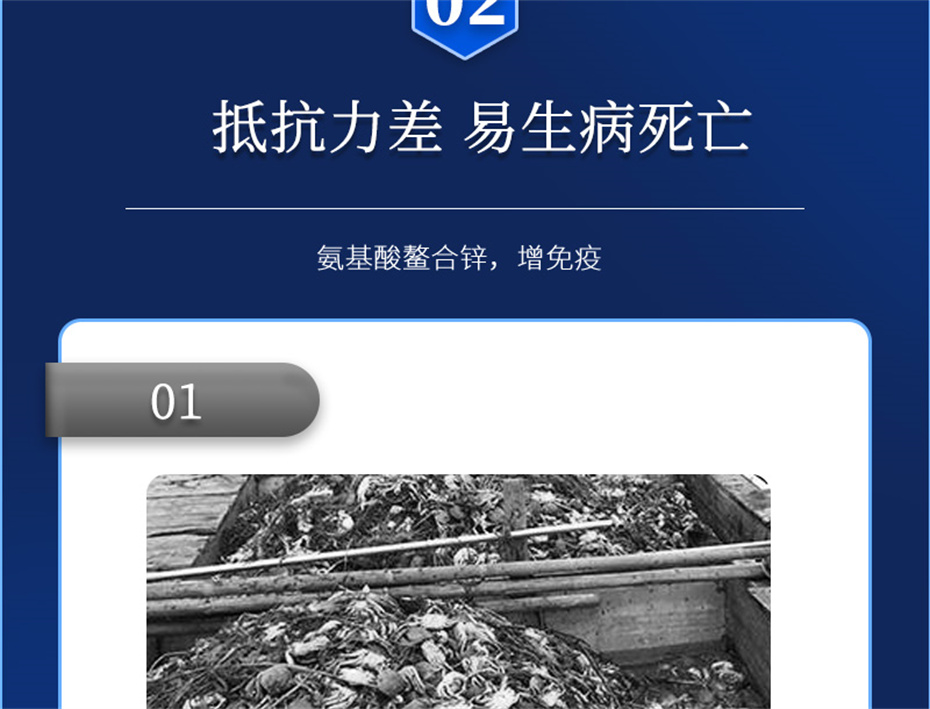 吉隆達動(dòng)保水產(chǎn)飼料添加劑蝦康寶產(chǎn)品介紹