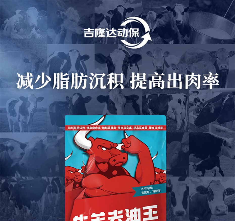 吉隆達動(dòng)保牛羊飼料添加劑牛羊去油王產(chǎn)品介紹