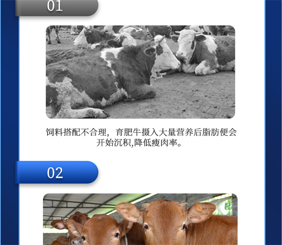 吉隆達動(dòng)保牛羊飼料添加劑牛羊去油王產(chǎn)品介紹