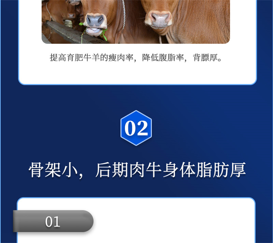 吉隆達動(dòng)保牛羊飼料添加劑牛羊去油王產(chǎn)品介紹
