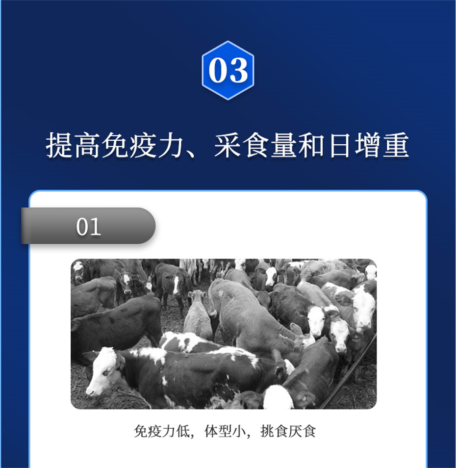 吉隆達動(dòng)保牛羊飼料添加劑牛羊去油王產(chǎn)品介紹