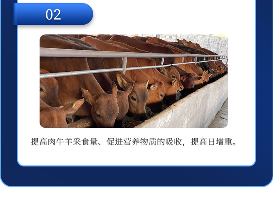 吉隆達動(dòng)保牛羊飼料添加劑牛羊去油王產(chǎn)品介紹