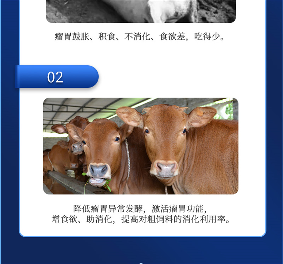 吉隆達動(dòng)保牛羊飼料添加劑瘤胃寶產(chǎn)品介紹