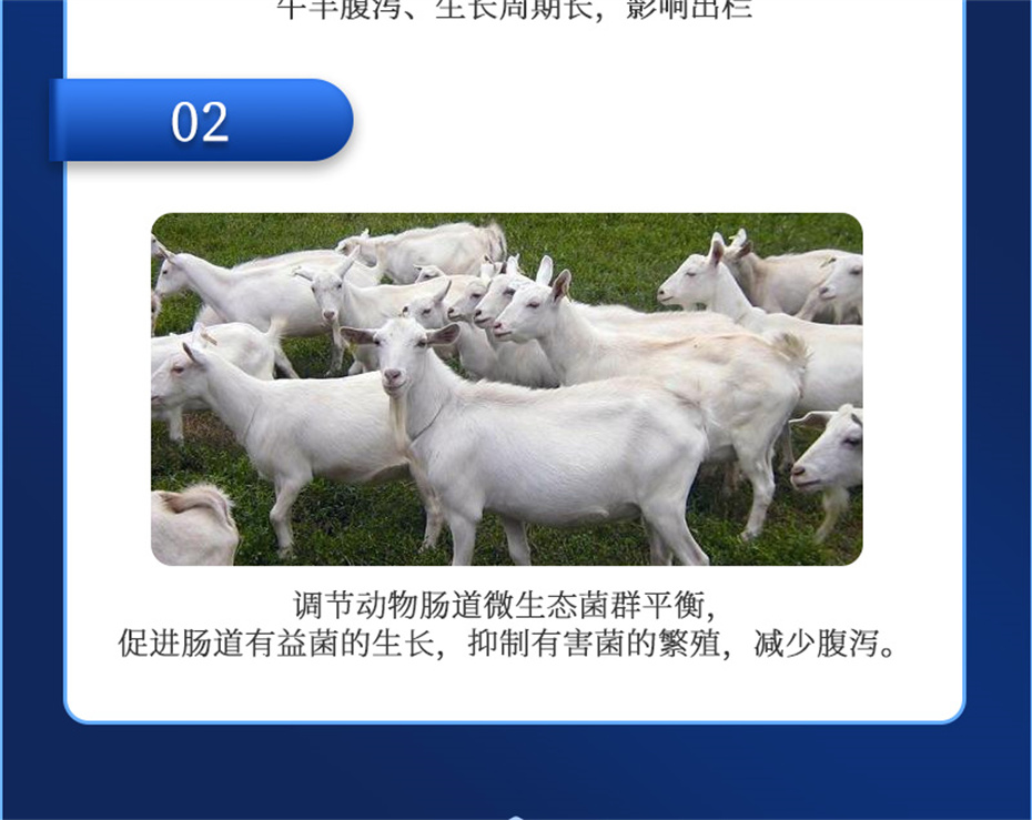 吉隆達動(dòng)保牛羊飼料添加劑瘤胃寶產(chǎn)品介紹