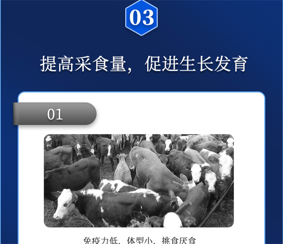 吉隆達動(dòng)保牛羊飼料添加劑瘤胃寶產(chǎn)品介紹