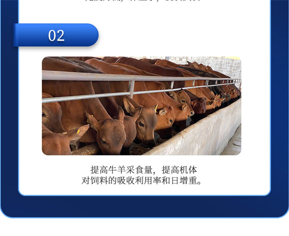 吉隆達動(dòng)保牛羊飼料添加劑瘤胃寶產(chǎn)品介紹