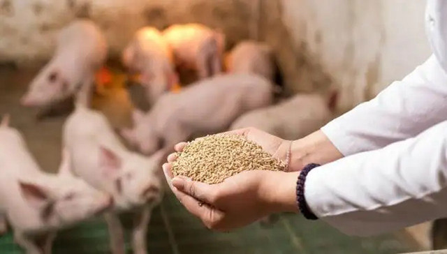飼料價(jià)格