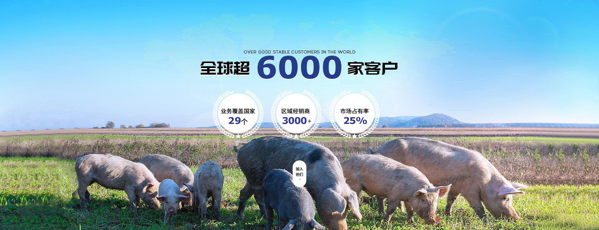 吉隆達(dá)-飼料添加劑招商