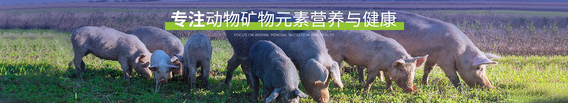 走進(jìn)吉隆達