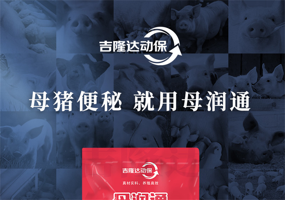 吉隆達動(dòng)保豬飼料添加劑母潤通產(chǎn)品介紹