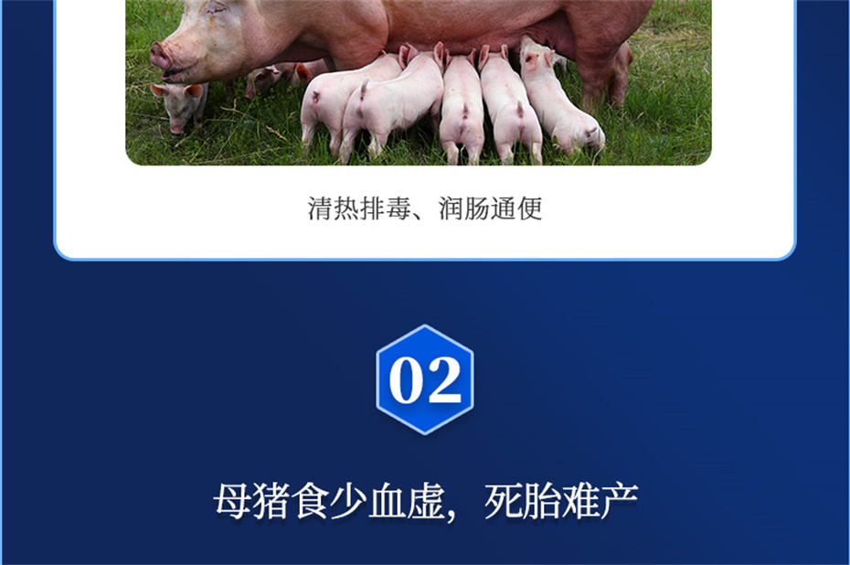 吉隆達動(dòng)保豬飼料添加劑母潤通產(chǎn)品介紹
