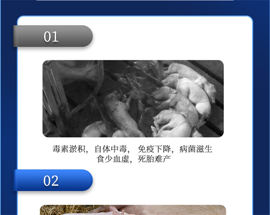 吉隆達動(dòng)保豬飼料添加劑母潤通產(chǎn)品介紹