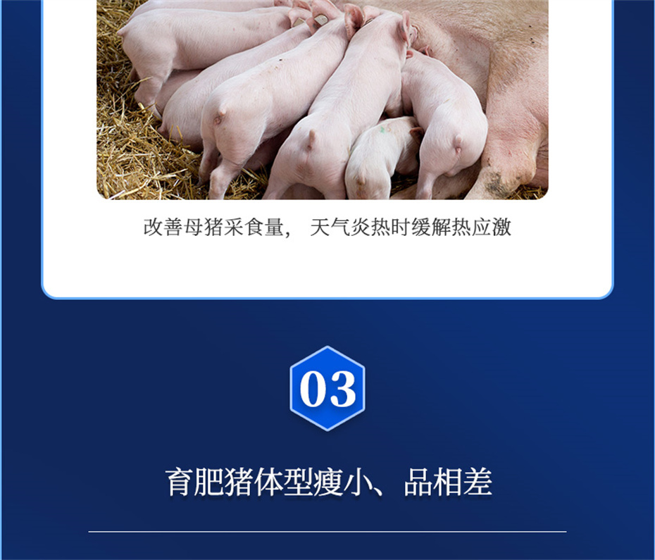 吉隆達動(dòng)保豬飼料添加劑母潤通產(chǎn)品介紹
