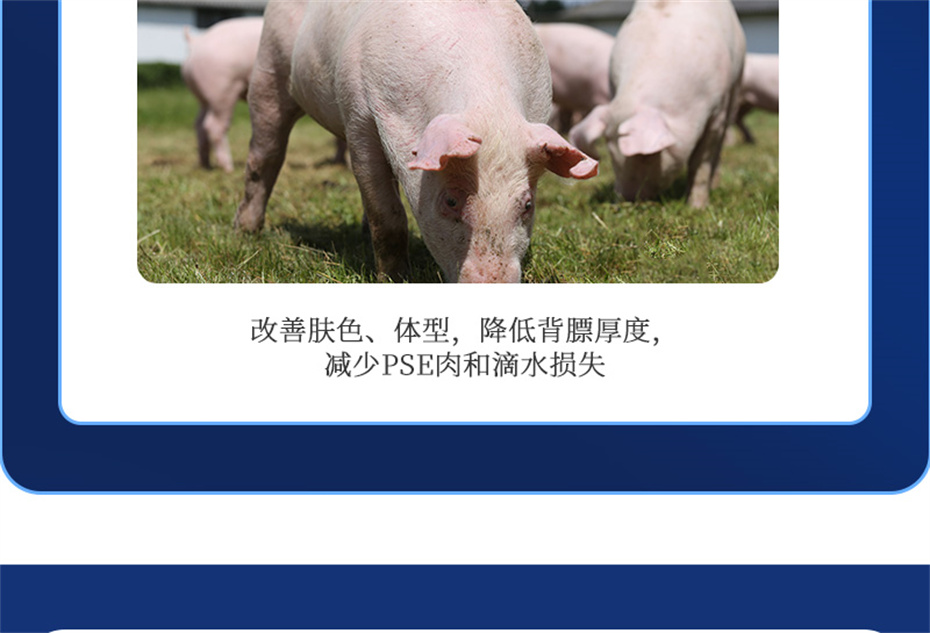 吉隆達動(dòng)保豬飼料添加劑母潤通產(chǎn)品介紹