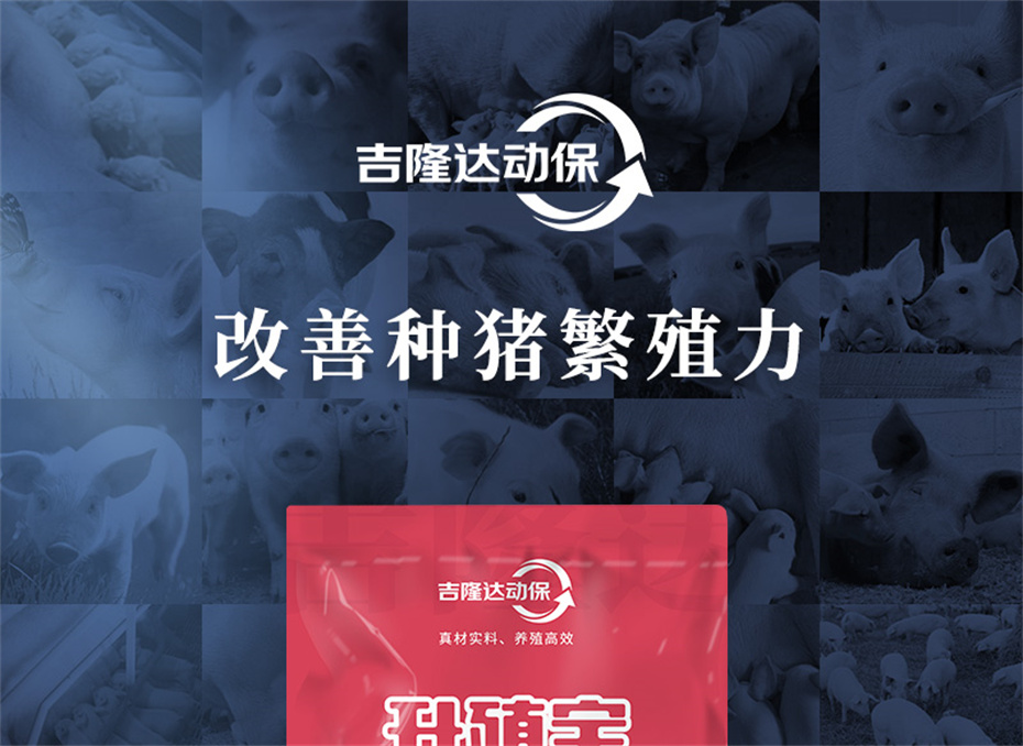吉隆達動(dòng)保豬飼料添加劑升殖寶產(chǎn)品介紹