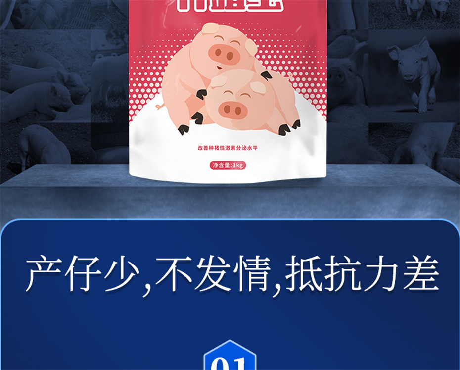 吉隆達動(dòng)保豬飼料添加劑升殖寶產(chǎn)品介紹