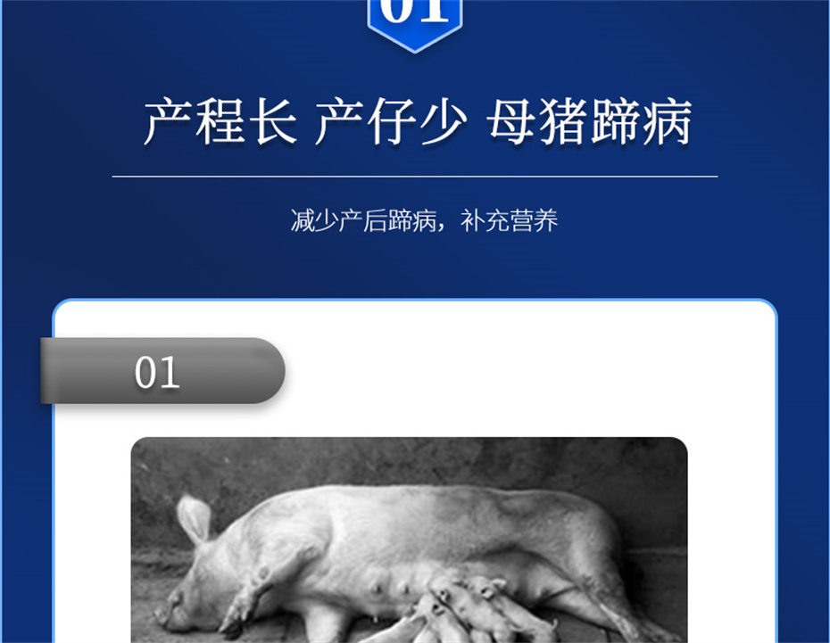 吉隆達動(dòng)保豬飼料添加劑升殖寶產(chǎn)品介紹