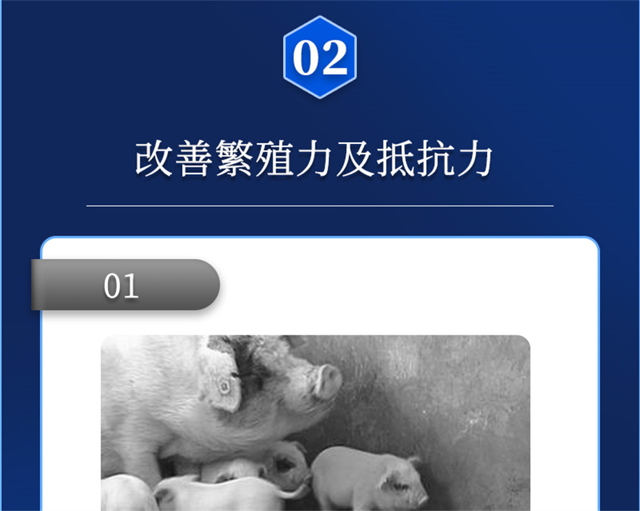吉隆達動(dòng)保豬飼料添加劑升殖寶產(chǎn)品介紹