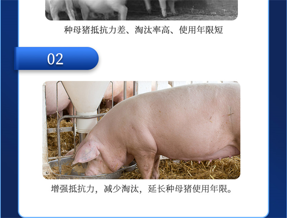 吉隆達動(dòng)保豬飼料添加劑升殖寶產(chǎn)品介紹