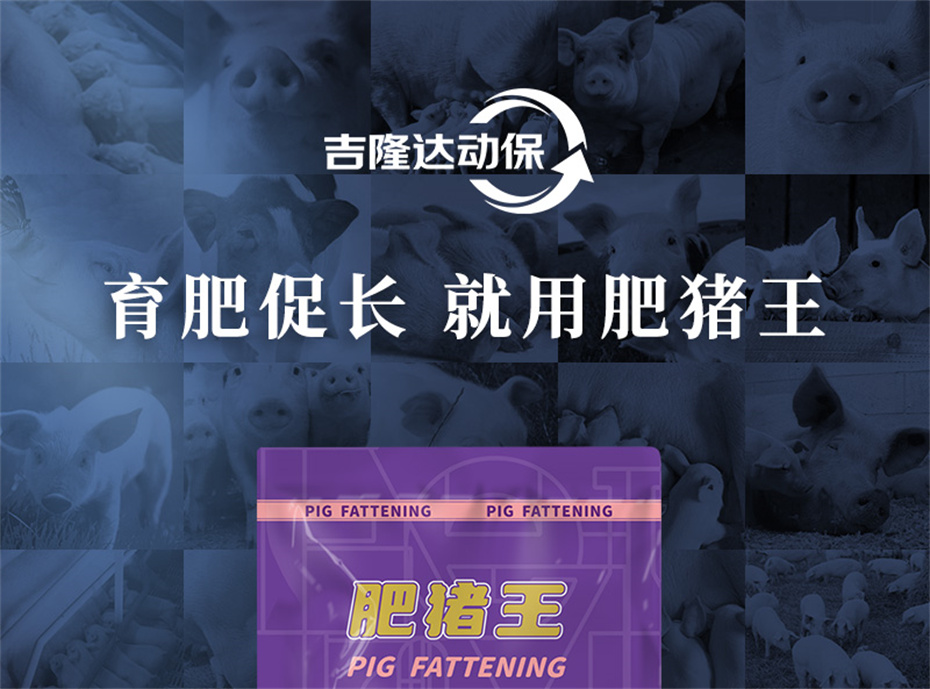 吉隆達動(dòng)保豬飼料添加劑肥豬王產(chǎn)品介紹