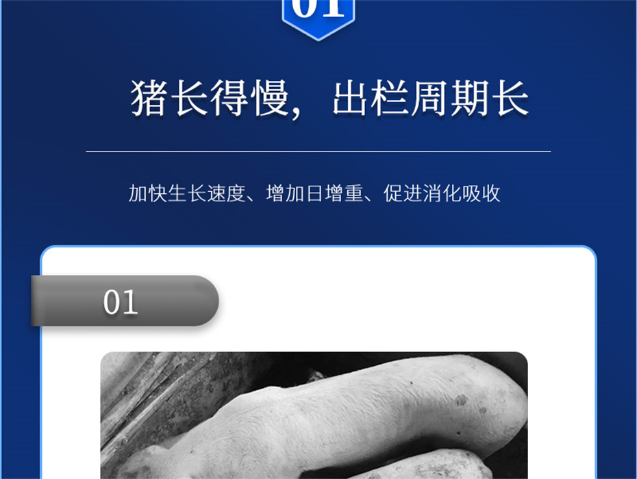 吉隆達動(dòng)保豬飼料添加劑肥豬王產(chǎn)品介紹