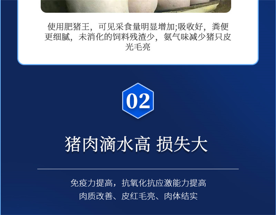 吉隆達動(dòng)保豬飼料添加劑肥豬王產(chǎn)品介紹