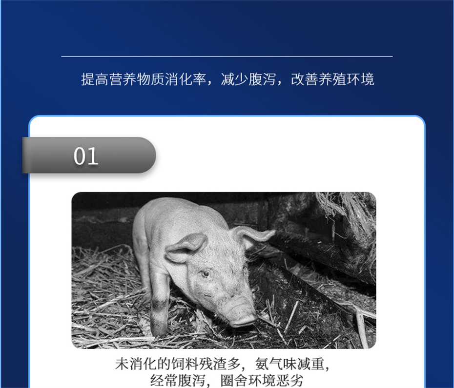 吉隆達動(dòng)保豬飼料添加劑肥豬王產(chǎn)品介紹