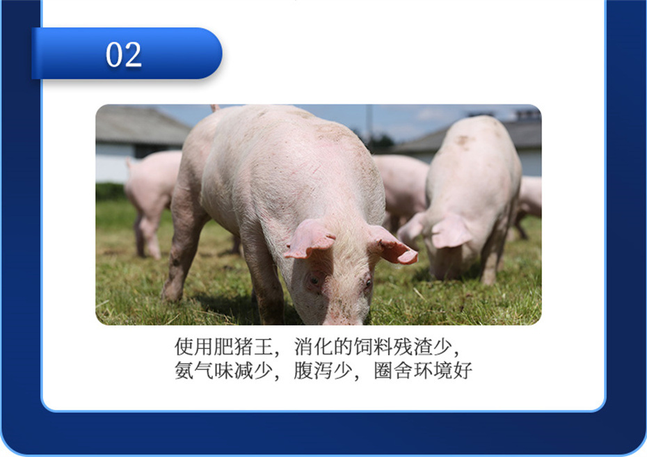 吉隆達動(dòng)保豬飼料添加劑肥豬王產(chǎn)品介紹