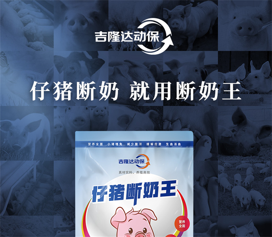吉隆達動(dòng)保豬飼料添加劑仔豬斷奶王產(chǎn)品介紹