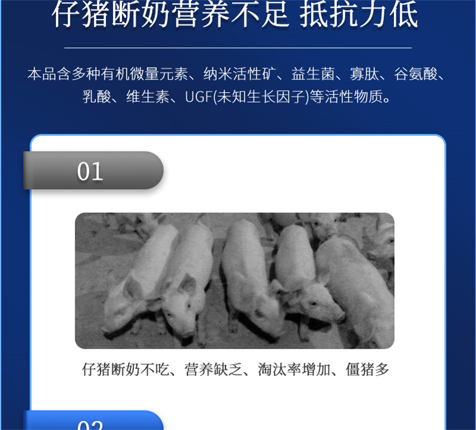 吉隆達動(dòng)保豬飼料添加劑仔豬斷奶王產(chǎn)品介紹