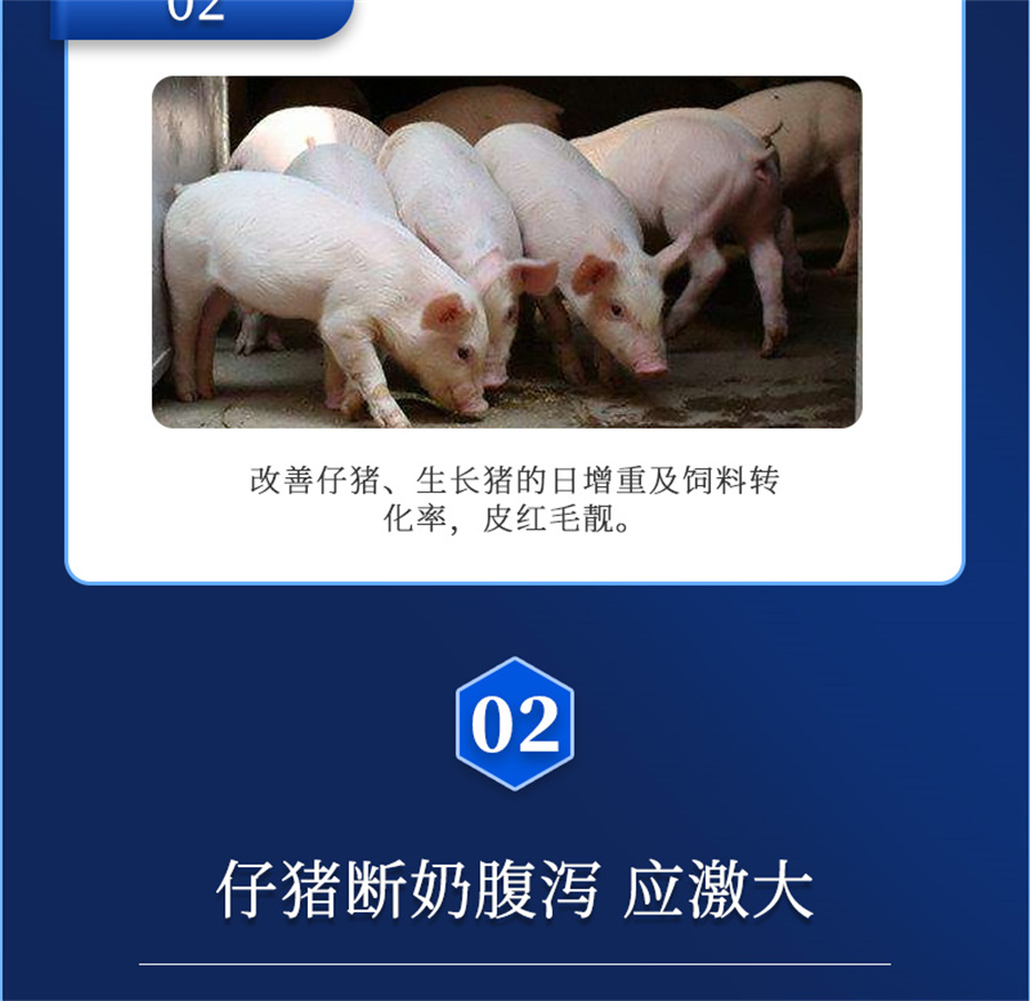 吉隆達動(dòng)保豬飼料添加劑仔豬斷奶王產(chǎn)品介紹