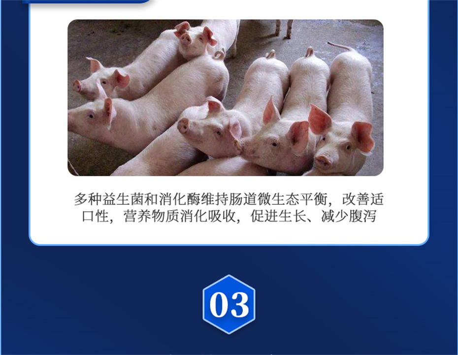 吉隆達動(dòng)保豬飼料添加劑仔豬斷奶王產(chǎn)品介紹