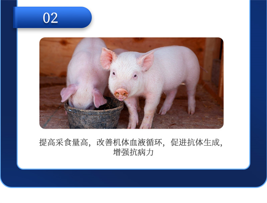 吉隆達動(dòng)保豬飼料添加劑仔豬斷奶王產(chǎn)品介紹