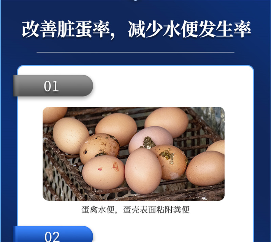 吉隆達動(dòng)保禽飼料添加劑強殼寶產(chǎn)品介紹
