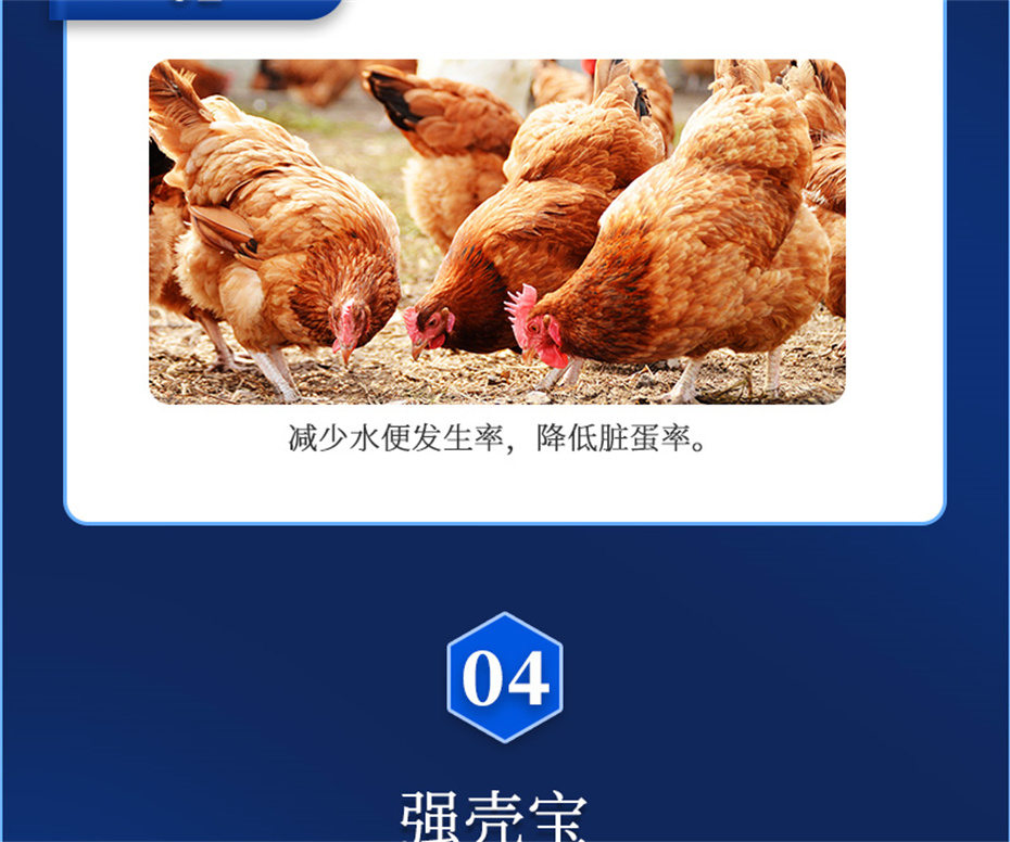 吉隆達動(dòng)保禽飼料添加劑強殼寶產(chǎn)品介紹