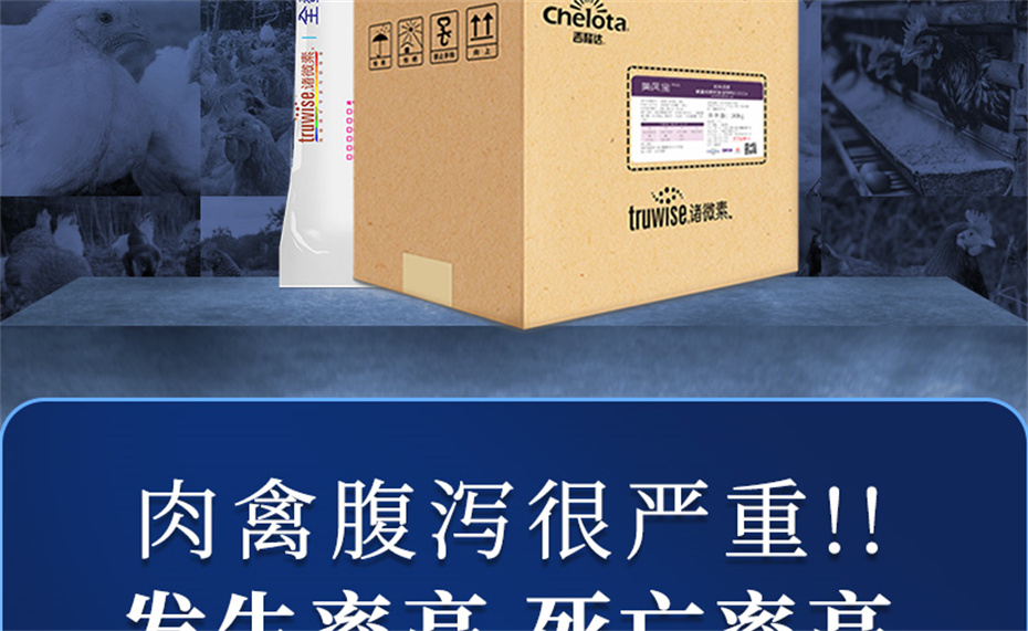 吉隆達動(dòng)保禽飼料添加劑美鳳寶產(chǎn)品介紹