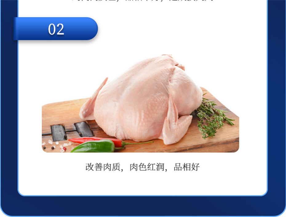 吉隆達動(dòng)保禽飼料添加劑美鳳寶產(chǎn)品介紹