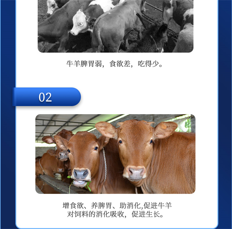 吉隆達動(dòng)保牛羊飼料添加劑牛羊元帥產(chǎn)品介紹